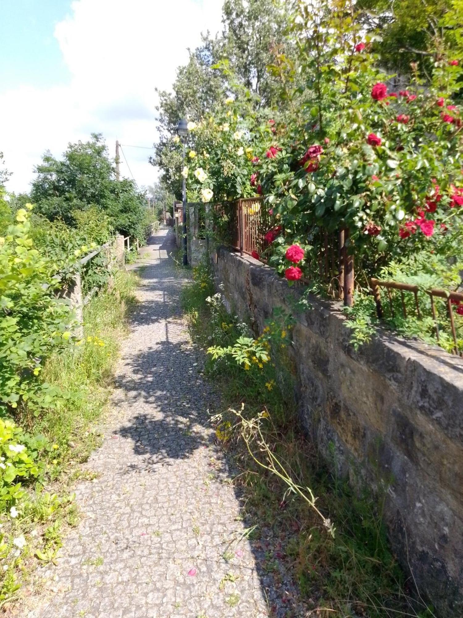 Dresden-entspannung-natur-trifft-2-staedte-am-fluss