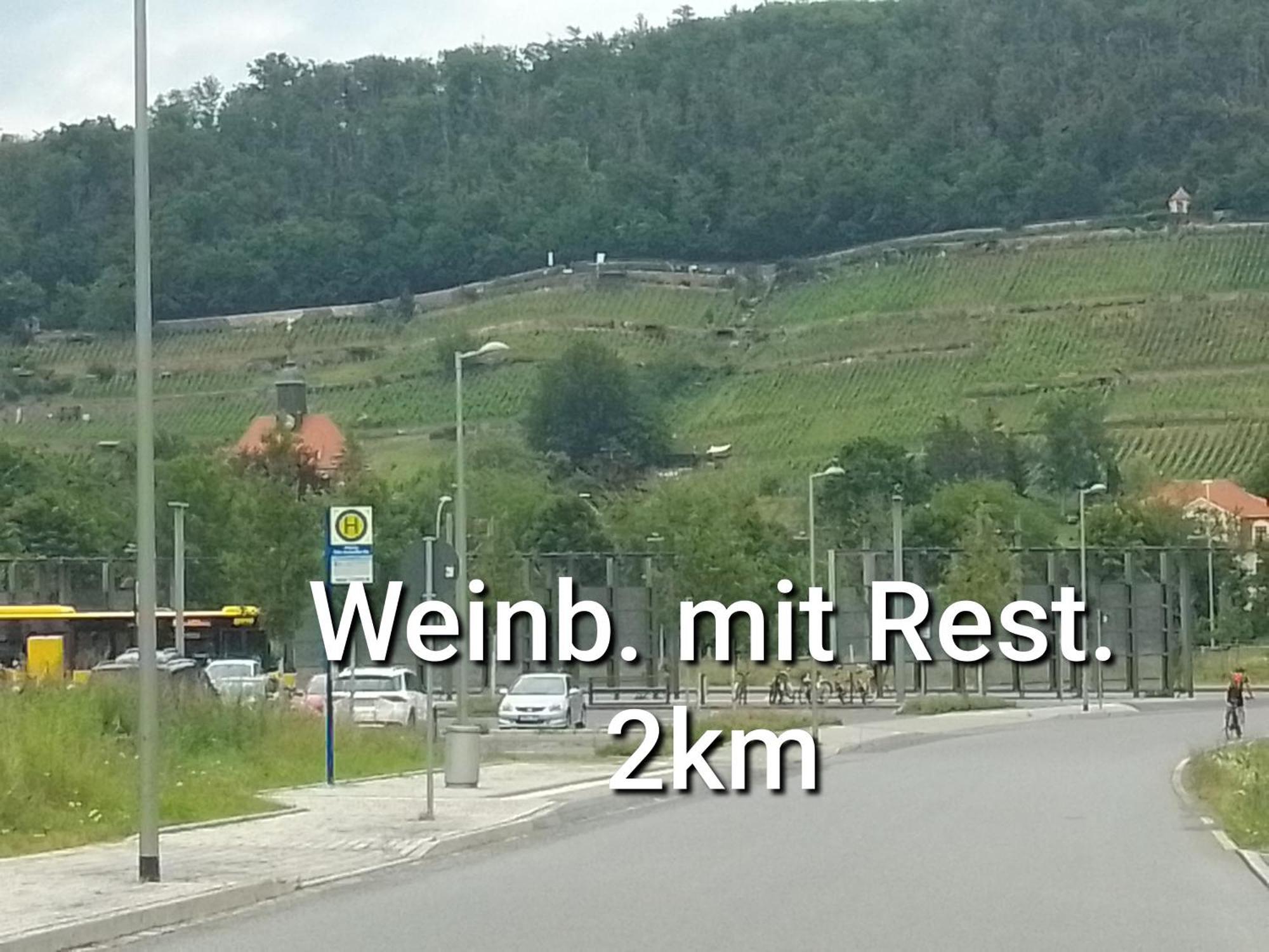 Dresden-entspannung-natur-trifft-2-staedte-am-fluss Проживание в семье *