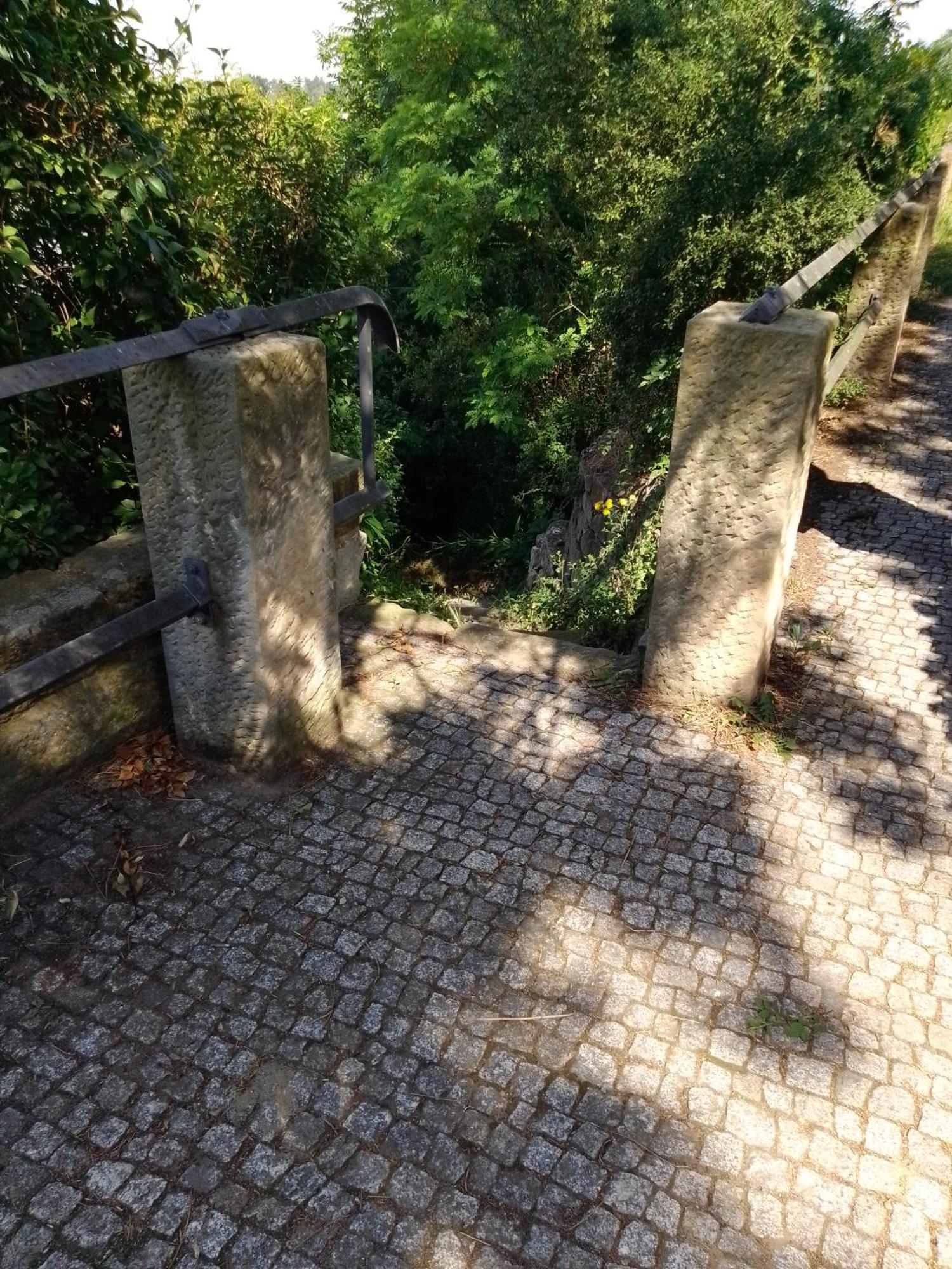 Homestay Dresden-entspannung-natur-trifft-2-staedte-am-fluss Dresden